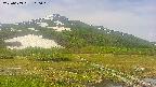 area1-20250609100020.jpg