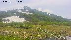 area1-20250609115020.jpg