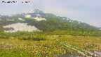 area1-20250609120020.jpg