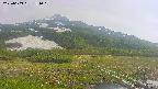 area1-20250609154020.jpg