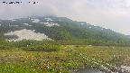 area1-20250609163019.jpg