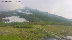 area1-20250609165019.jpg