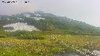 area1-20250609174016.jpg