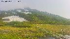 area1-20250609175019.jpg
