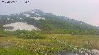 area1-20250609182019.jpg