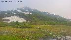 area1-20250609185018.jpg