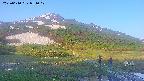 area1-20250610051019.jpg