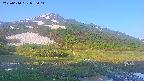 area1-20250610052016.jpg