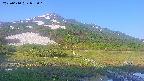 area1-20250610055020.jpg