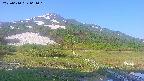 area1-20250610061017.jpg