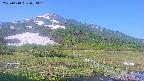 area1-20250610070016.jpg