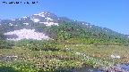 area1-20250610071020.jpg