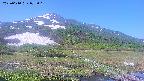area1-20250610072018.jpg