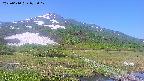 area1-20250610073019.jpg