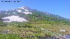 area1-20250610074020.jpg