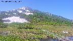 area1-20250610075020.jpg