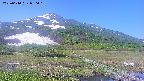 area1-20250610080019.jpg