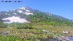 area1-20250610081018.jpg