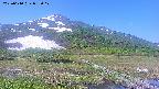 area1-20250610082019.jpg