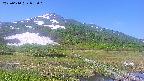 area1-20250610083017.jpg
