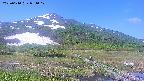 area1-20250610084018.jpg