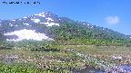 area1-20250610085018.jpg