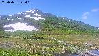 area1-20250610090019.jpg