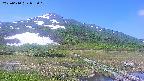 area1-20250610093021.jpg