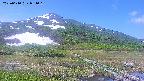 area1-20250610094017.jpg