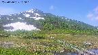 area1-20250610100018.jpg