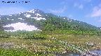 area1-20250610101020.jpg