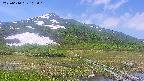 area1-20250610102017.jpg