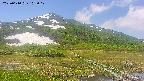 area1-20250610103019.jpg