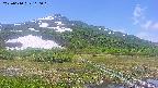 area1-20250610110021.jpg