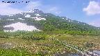 area1-20250610112018.jpg