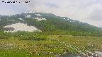 area1-20250610131020.jpg