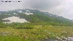area1-20250610141020.jpg