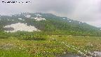 area1-20250610142017.jpg