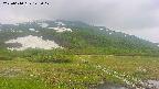 area1-20250610143018.jpg