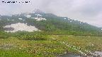 area1-20250610144019.jpg