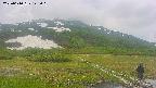 area1-20250610145019.jpg