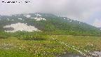 area1-20250610150019.jpg