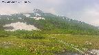 area1-20250610151019.jpg
