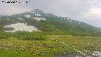 area1-20250610152017.jpg