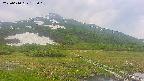 area1-20250610153019.jpg