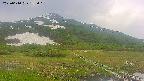 area1-20250610155020.jpg