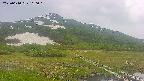 area1-20250610160019.jpg