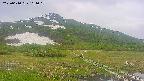 area1-20250610161020.jpg