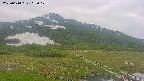 area1-20250610162018.jpg