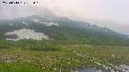 area1-20250610182019.jpg